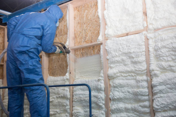 Best Eco-Friendly or Green Insulation Solutions in Kinsey, AL